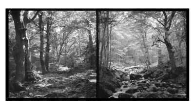 Peter Vlahov Portfolio - 2024 - Peter Vlahov photography. Alternative processes. Cyanooil, Cyanopigment, cyanotype, ferripigment, albumen prints. - 9