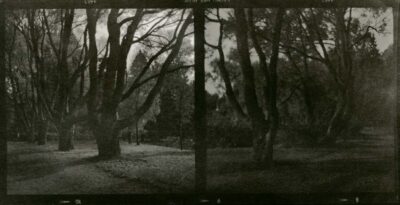 Peter Vlahov Portfolio - 2024 - Peter Vlahov photography. Alternative processes. Cyanooil, Cyanopigment, cyanotype, ferripigment, albumen prints. - 1